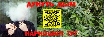 кокс Новодвинск