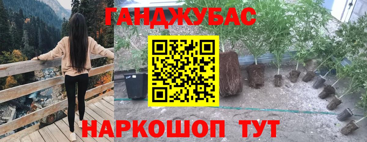 Бошки марихуана тримм  МАРИХУАНА тримм  Вход с VPN  Каннабис Amnesia  Петрозаводск  Марихуана THC 21% 